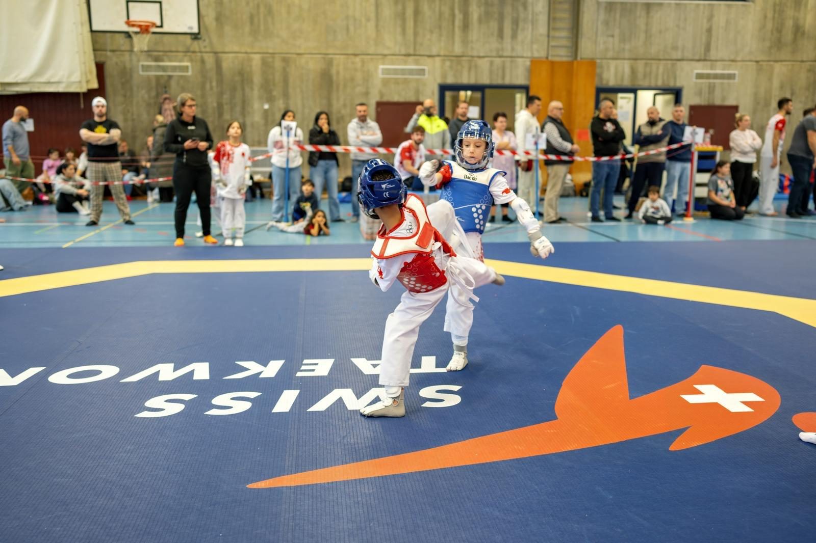 Grosses Sparring Taekwondo
